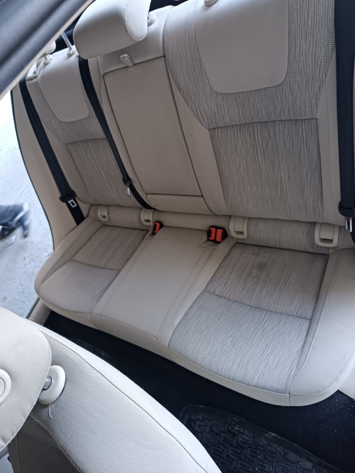 Livanur Koltuk Yıkama 